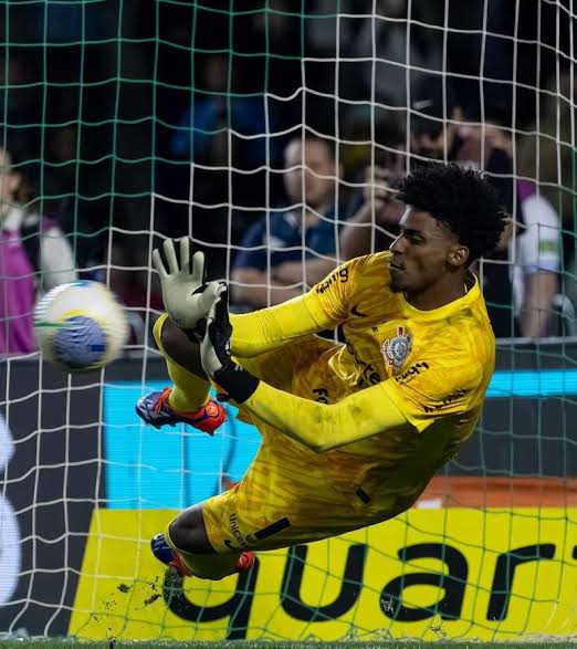 O melhor goleiro do Brasil