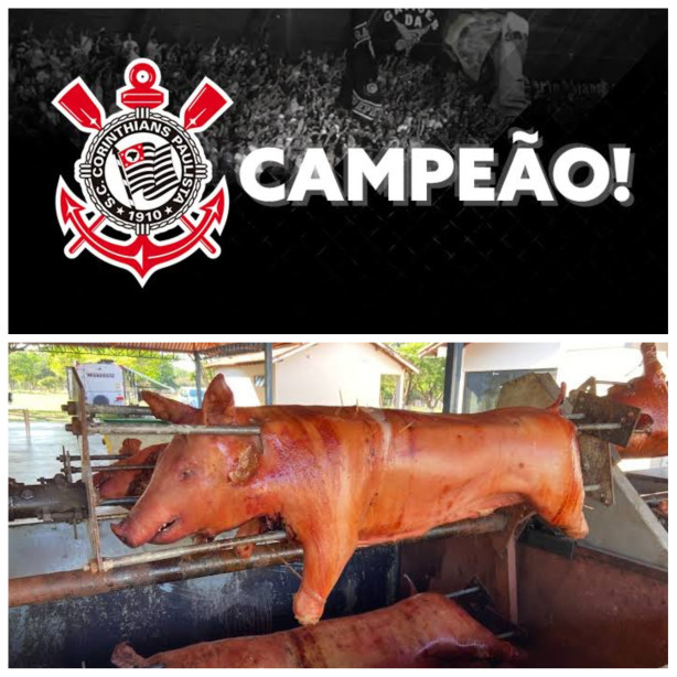 porco (imundo) no rolete