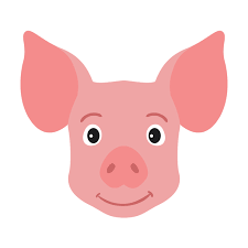 Today the pig