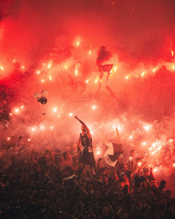 Chupa palmeiras