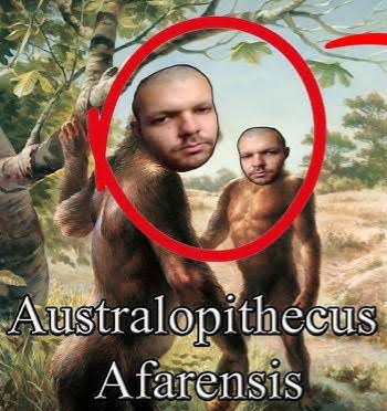 QI da fiel australapitecus farenses