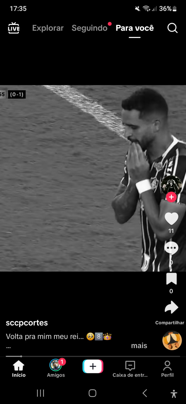 Renato augusto