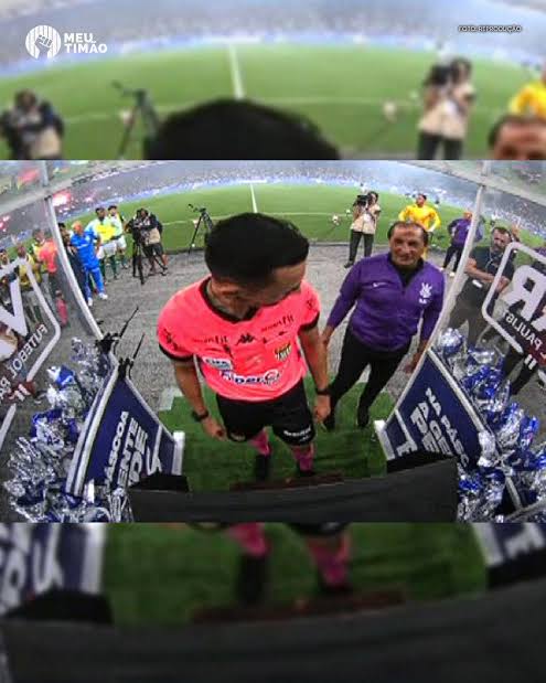 Me chamem de vi�va, mas�.