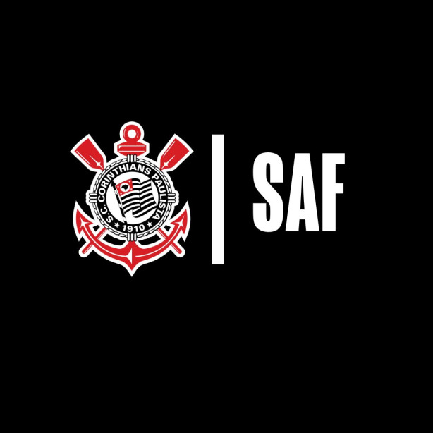 safiel projeto - minha opini�o