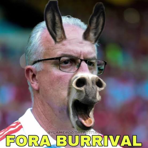 Piot que o coelho