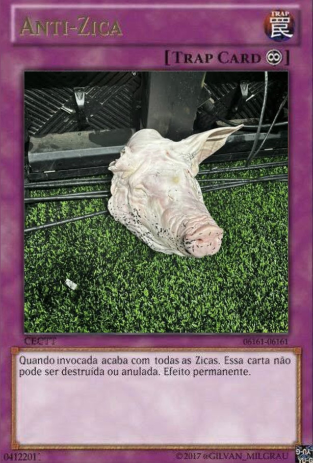 T�pico anti zica