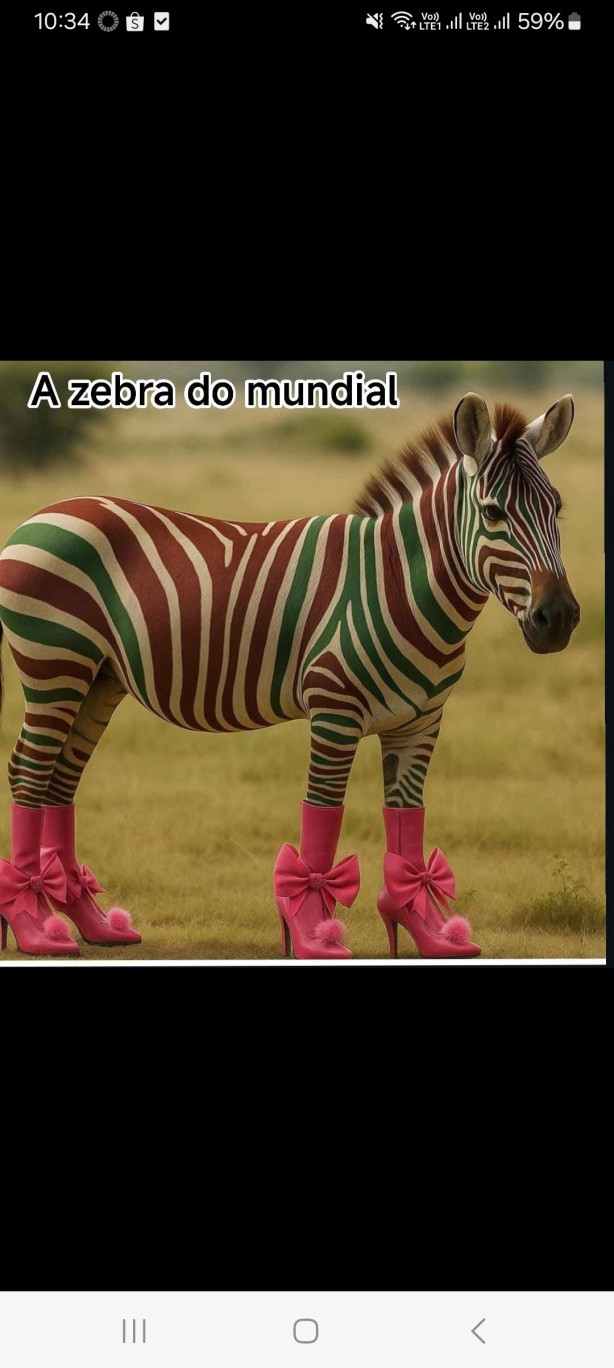 O azarao do mundial.