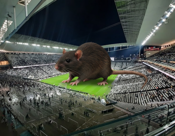 Enquanto isso na terra do sempre