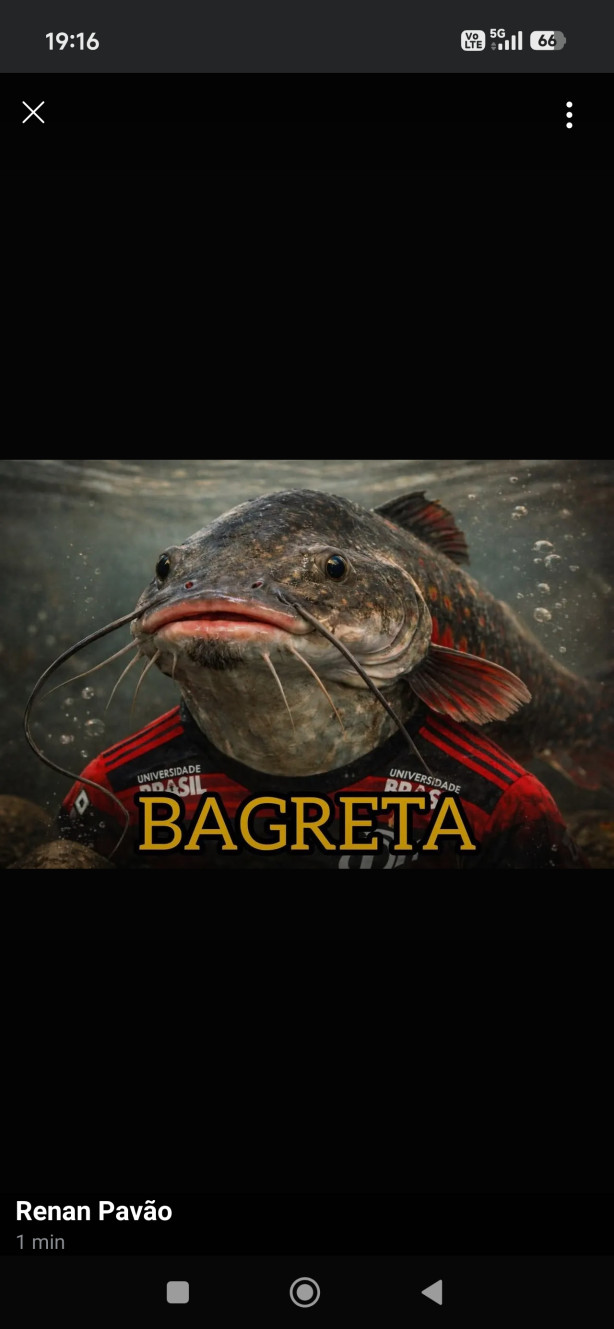 Paquet�