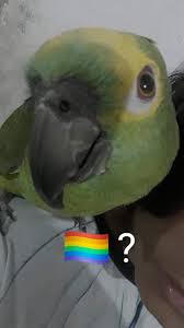 Rani?