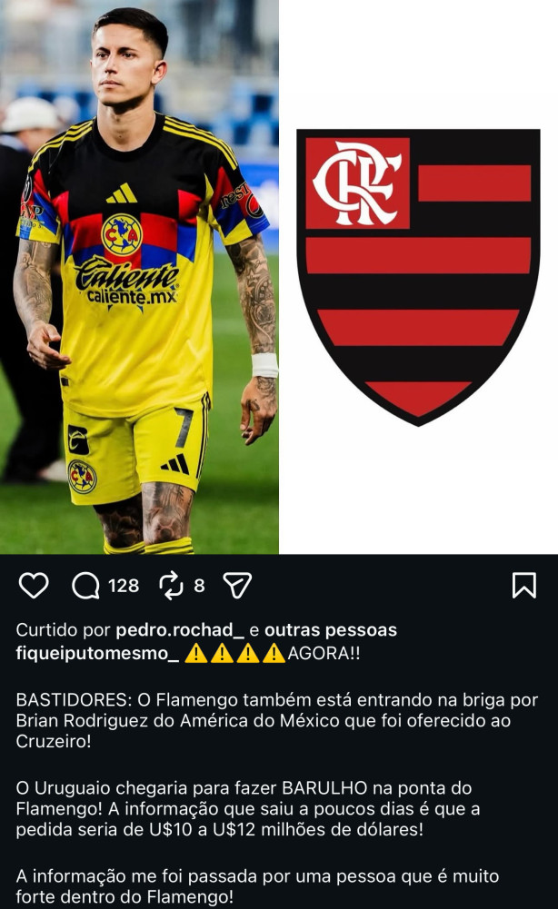 Eu acho engra�ado como �todo jogador � comum� quando o Corinthians quer.. J� quando � Flamingo..