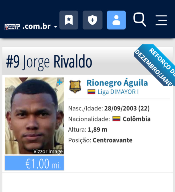 Fernando Diniz talvez se interesse