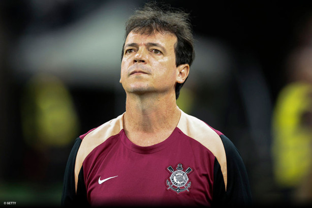 Efeito Diniz