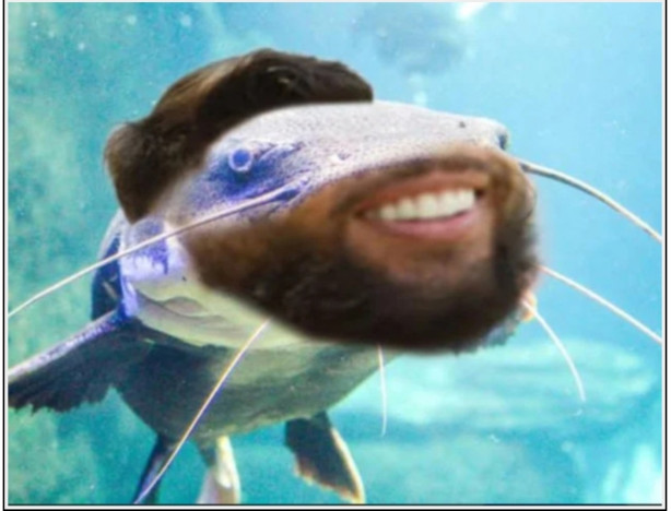bagre alberto