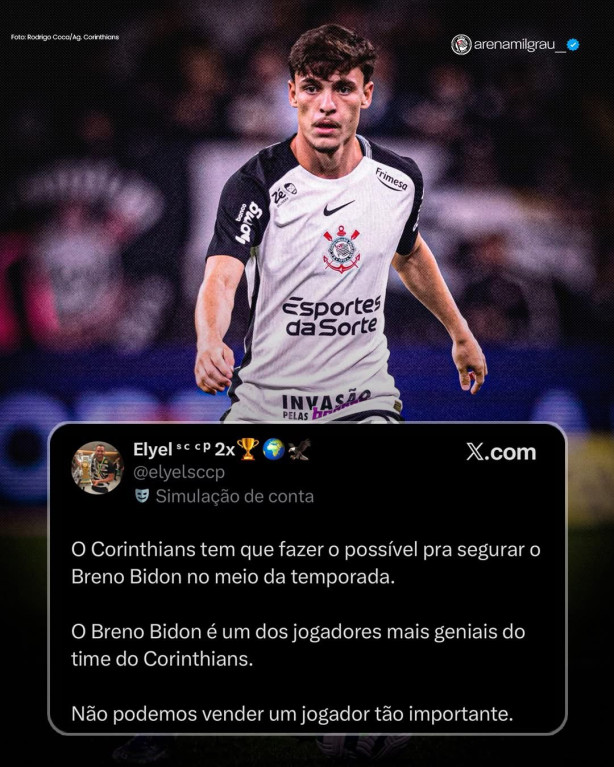 Nunca vou entender esse surto da torcida