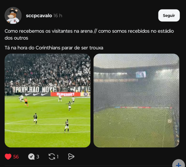 Rede de prote��o na arena