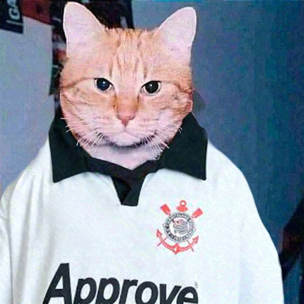 meow meow