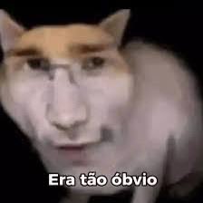 Mudou da �gua pra water