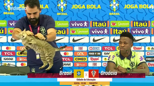 A maldi&ccedil;&atilde;o do Gato