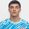 Arthur Rampineli Borghi
