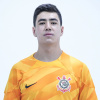 Joo Vitor Koji Lamber