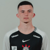 Lucas Morales Martins