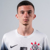 Lucas Morales Martins