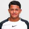 Luiz Fernando