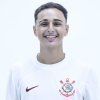Pedro Henrique Osrio Pacheco