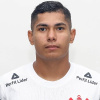 Vinicius Gomes da Silva Souza