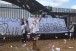 Torcida protesta na porta do CT com dinheiro falso: 'Jogadores mercen�rios'