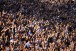 Ap�s �ndices negativos, Fiel volta a comparecer a Arena Corinthians