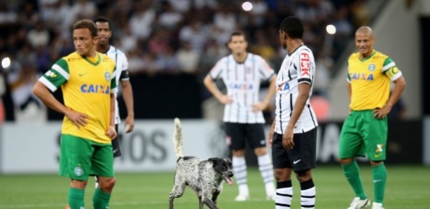 Corinthians x Coritiba, no último sábado, foi interrompido por cachorro no gramado