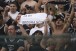 Cear�-08 x Cear�-18: a revolu��o do Corinthians ap�s o jogo do acesso � S�rie A
