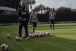 Corinthians vai disputar a sua quinta edi��o de Florida Cup