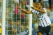 Campe�o da Copinha pelo Corinthians supera longo gancho por doping e recome�a em destaque no Taubat�