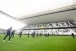 Corinthians realiza treino sem o meia Giuliano na Neo Qu�mica Arena para enfrentar o Cear�