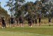 Corinthians encerra a prepara��o para a partida contra o Realidade Jovem pelo Paulist�o Feminino