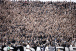 Torcida do Corinthians protesta nas arquibancadas da Neo Qu�mica Arena ap�s derrota para rival