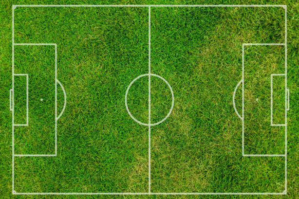 A importância do gramado no futebol