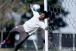 Corinthians d� sequ�ncia � prepara��o para enfrentar o Bahia em mais uma rodada do Brasileir�o