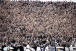 Neo Qu�mica Arena recebe quase 100 mil torcedores em final de semana recheado de Corinthians