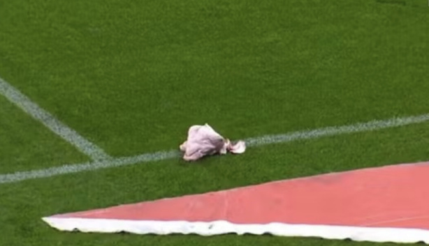 A cabe�a de porco arremessada no gramado da Neo Qu�mica Arena, em novembro de 2024