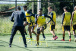 Invicto h� seis jogos e est�vel na S�rie B: como o Novorizontino recebe o Corinthians