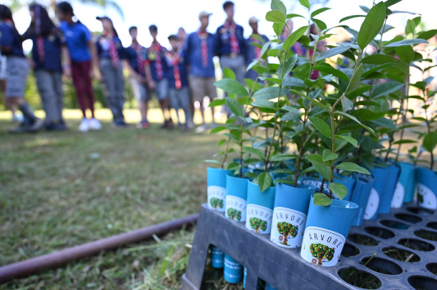 Gols do Corinthians na Copinha Feminina 2025 geram 15 árvores em novo bosque na Zona Leste