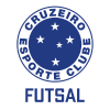 Cruzeiro Futsal