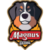 Magnus Futsal