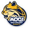 Mogi Basquete