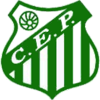 Paysandu de Brusque