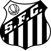 CapCut_todos os resultados dos jogos do corinthians